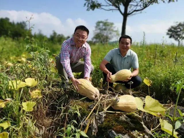 盛世娱乐